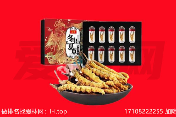 阿坝理县回收虫草.jpg
